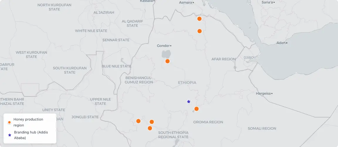 From Tigray highlands to unbranded export — the chain breaks before the label.
