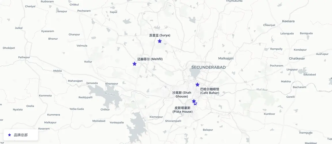 品牌标记高度集中在老城区——海得拉巴哈利姆贸易的历史核心。