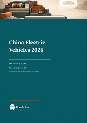 China Electric Vehicles 2026
