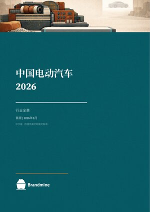 中国新能源汽车 2026
