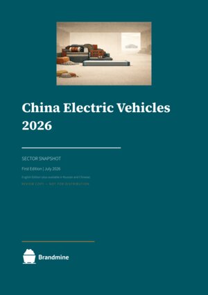 China Electric Vehicles 2026 — Sector Snapshot