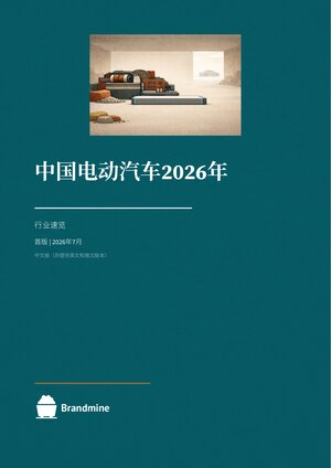 中国新能源汽车 2026